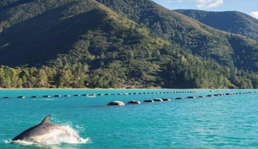 Marlborough Sounds in Marlborough New Zealand